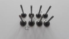 Subap Takımı Renault R12 1300 7700561318