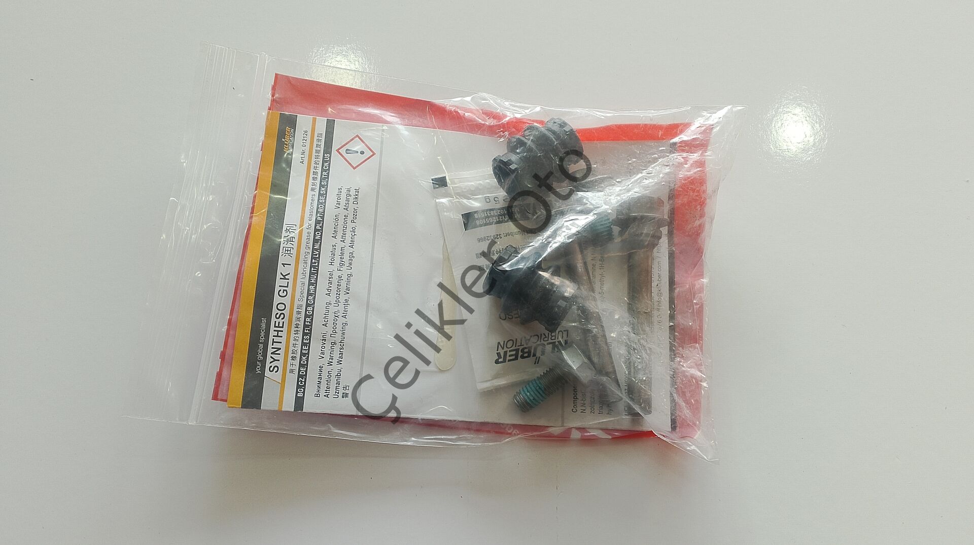 Arka Fren Kaliper Tamir Takımı Civatası Megane 2 Clio 3 Scenic 2 7701206347