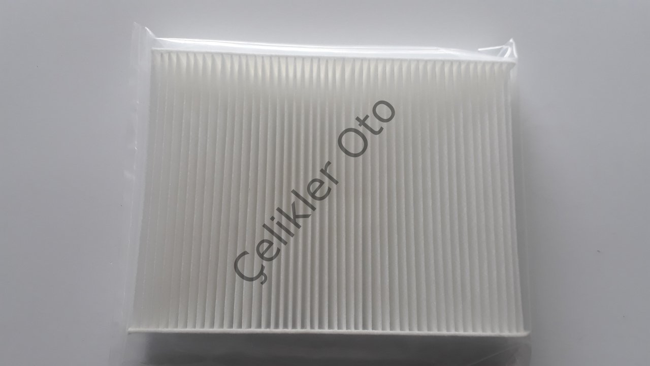 Polen Filtresi Trafik 3 Scenic 3 272778980R