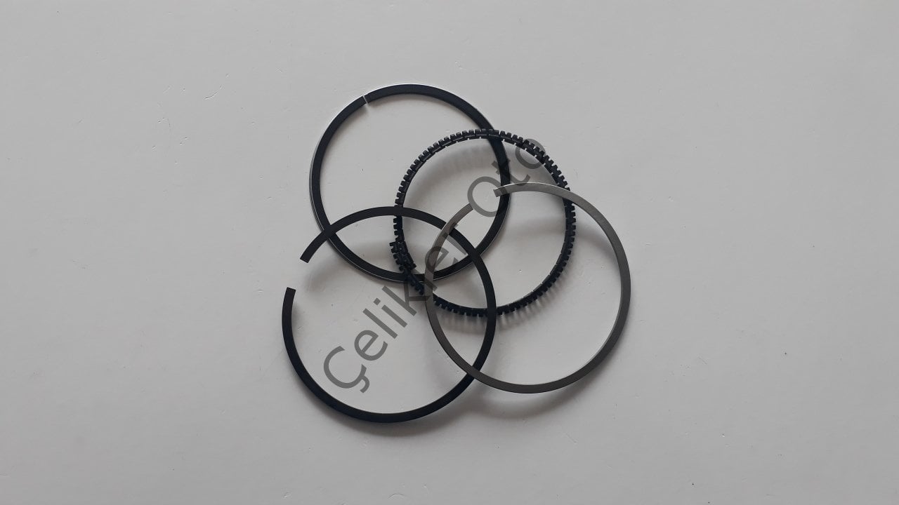 Segman Takımı Standard Renault R9 R19 R21 1,6 Optima Fairway 7702127062