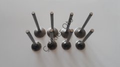 Subap Takımı Megane Laguna 2,0 8V F3R F3P Uzun 7701471713