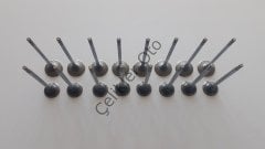 Subap Takımı Megane 1,4 16V TCE H4J 700 132028778R