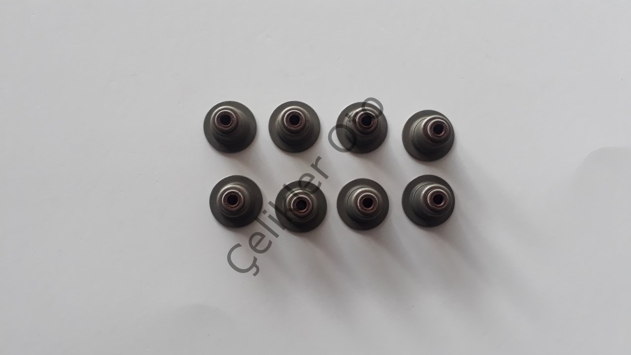 Subap Lastiği Eksoz S40 V50 C30 S60 V60 1,8 2,0 B4206T 8694964