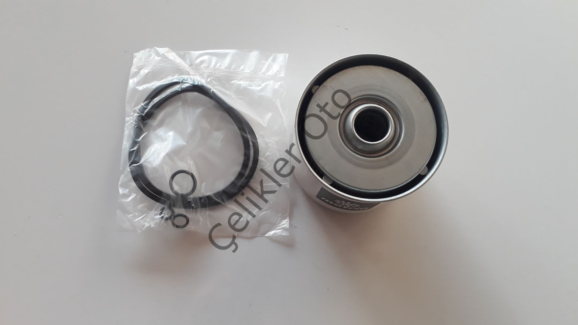 Mazot Yakıt Filtresi Renault R19 1,9Dizel F8Q 8671095013