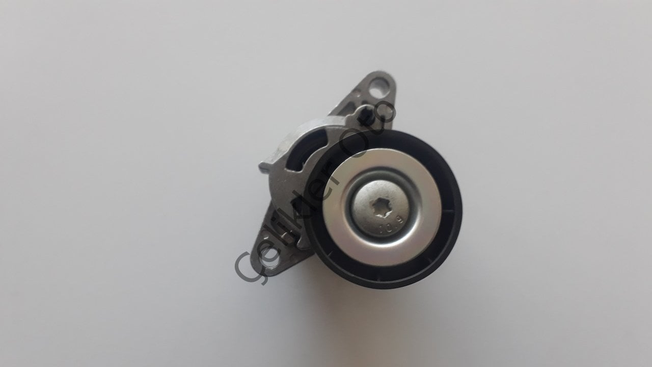 Gergi Rulmanı Alternatör Kütüğü Clio Megane Laguna Modüs 1,4 1,6 16V K4M