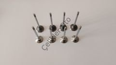 Subap Takımı S40 V50 C30 S60 V80 V40 1,6Dizel 31330181
