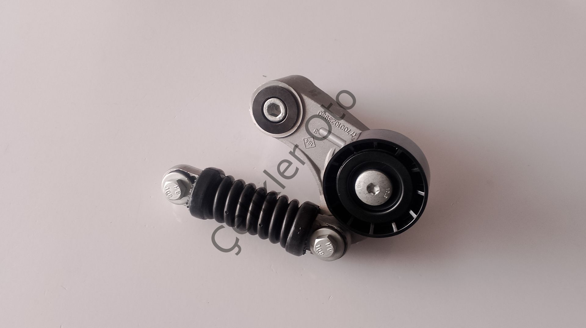 V Kayış Gergi Kütüğü Rulmanı Megane Laguna 1,9Dizel F8Q F9Q 7700102395