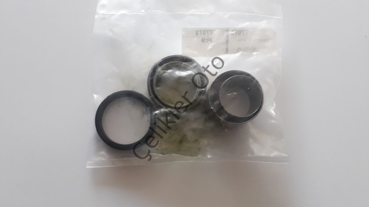 Arka Torsiyon Tamir Takımı Renault R9 R11 R19 Clio Kango 7701464321