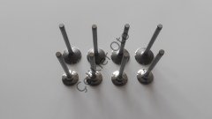 Subap Takımı R19 Laguna Megane 1,8 2,0 8V 7701466606