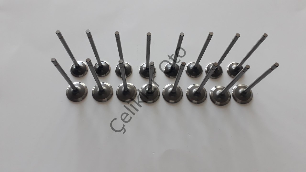 Subap Takımı Megane Laguna Duster Logan 1,6 16V K4M