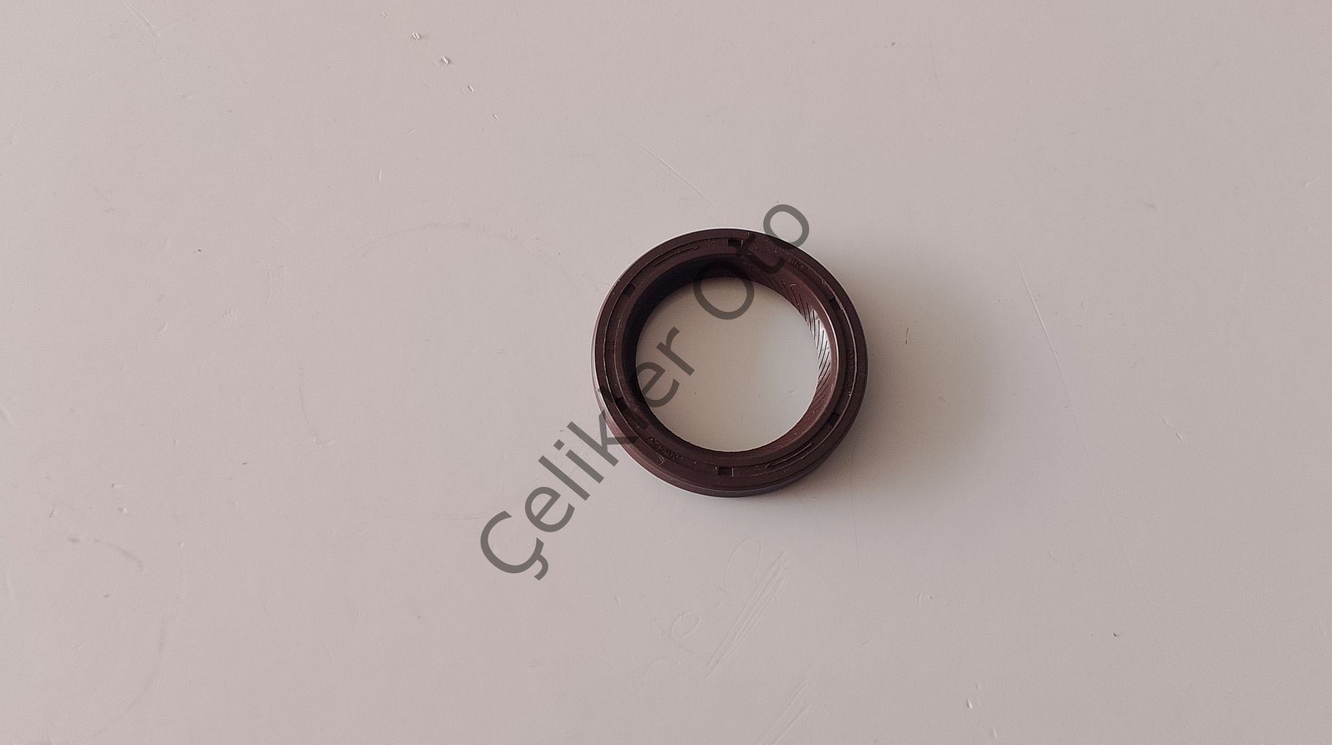 Eksantrik Ön Keçe R19 Clio Megane Kango 1,4 8V 7700101348