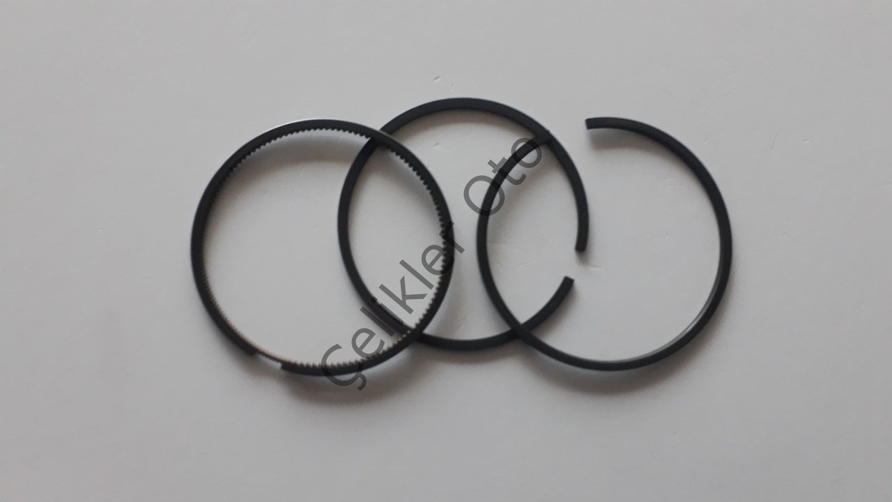 Segman Takımı Kango 1,9D R19 Express F8Q 0,50