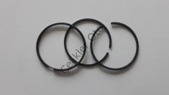 Segman Takımı Kango 1,9D R19 Express F8Q 0,50