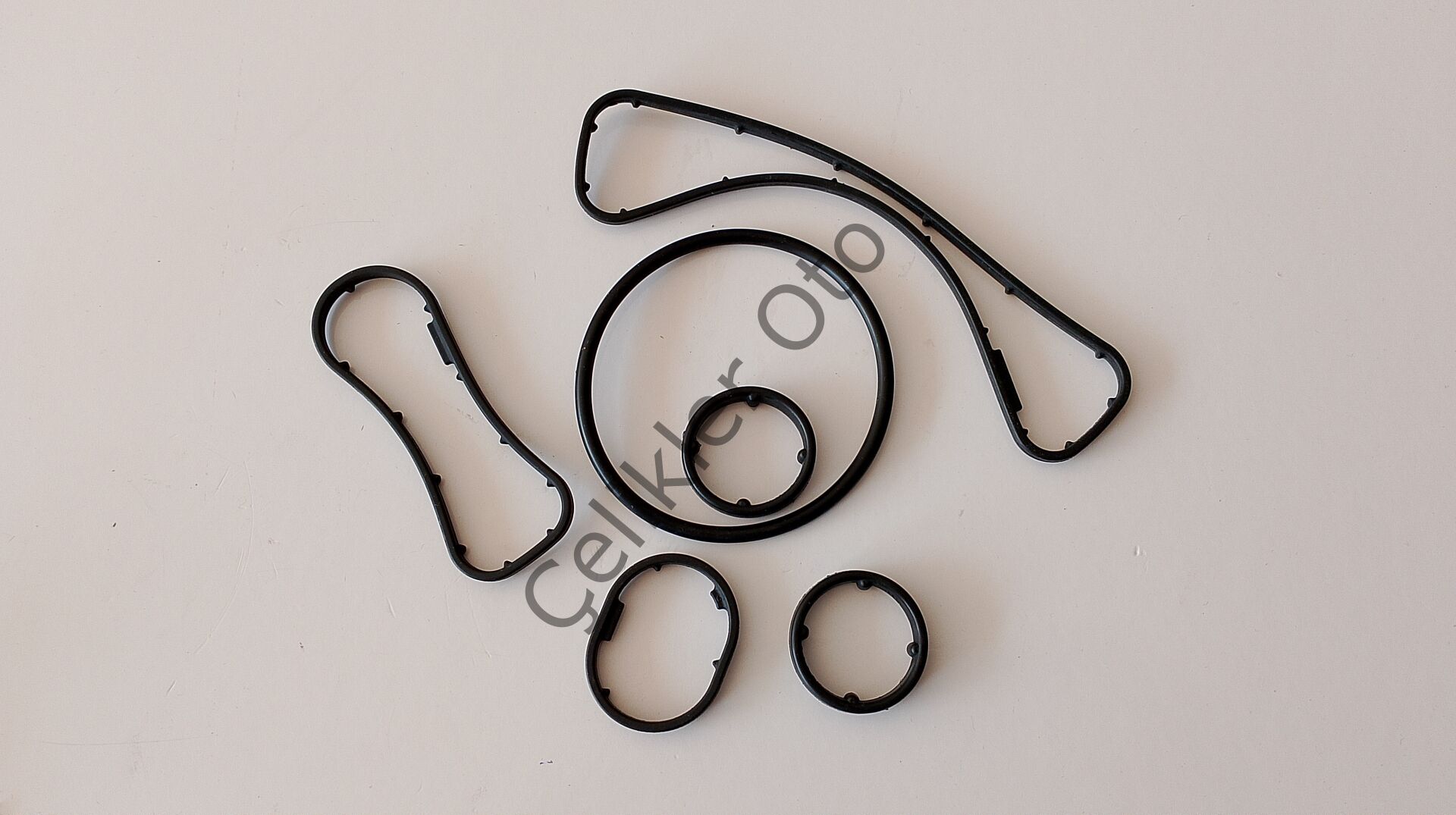 Yağ Filtre Conta Takımı Latitude Trafik Laguna 2,0Dci M9R 7701478541