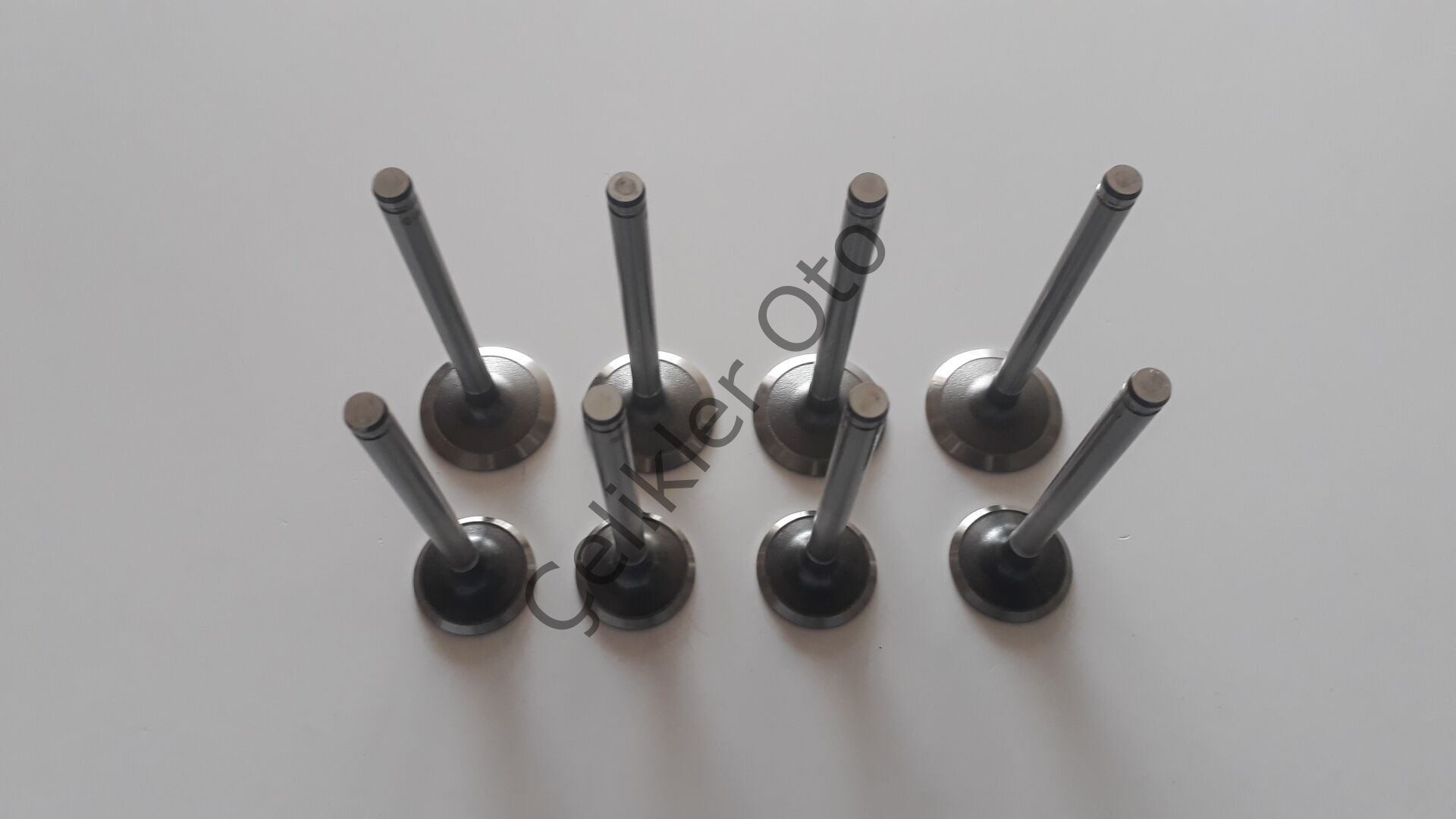 Subap Takımı Renault R11 R21 1700 F2N 7701463081