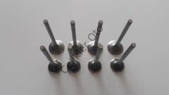 Subap Takımı Renault R11 R21 1700 F2N 7701463081