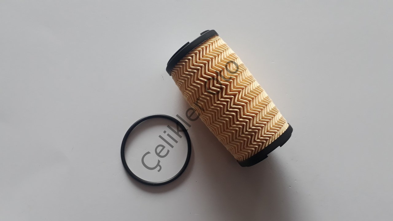 Yağ Filtresi Master 3 2,3Dci Trafik 2,0Dci M9T M9R 152093920R