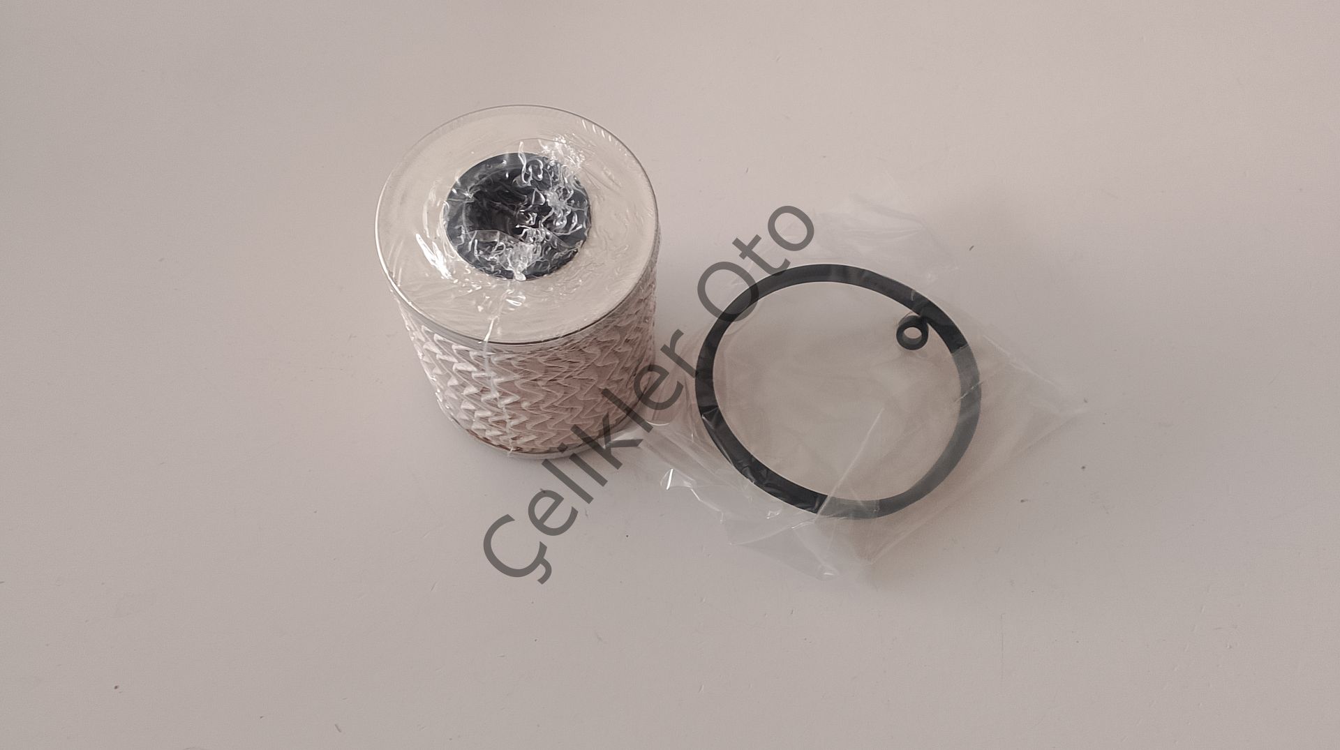 Mazot Yakıt Filtresi Master 2,5Dci Trafik 7701475229