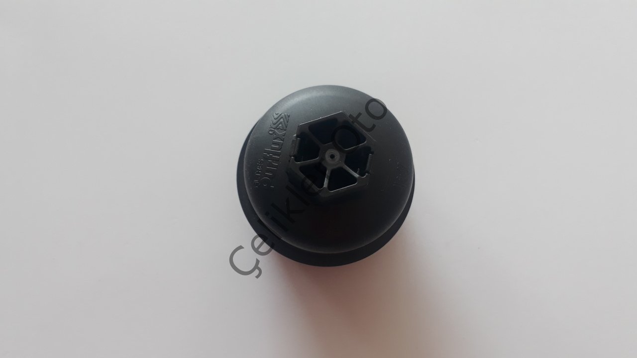 Yağ Filtresi Kapağı Tası Master 3 Trafik 3 2,0Dci M9R 7701476503