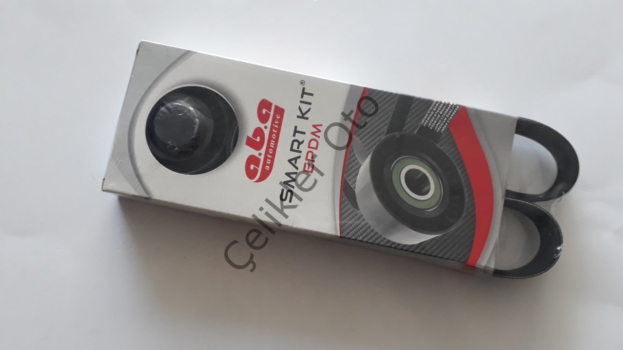 V Kayışı Alternatör+Rulmanı Megane Clio Kango Fluence 8200821813