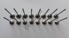 Subap Takımı Megane Laguna Scenic 2,0 16V F4R 7701474287