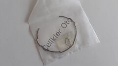 1.Vites Senkromeç Yayı Megane 2 7700116330