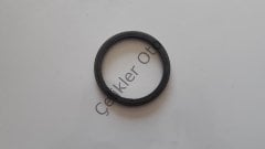 Arka Disk Abs Okuyucu Kango 3 432025057R